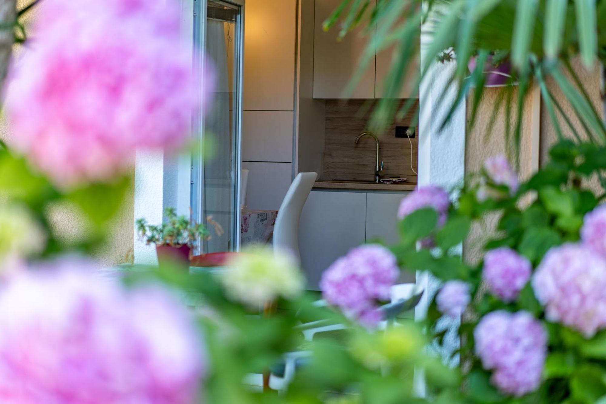 Apartments Villa Rudi 비빈제 외부 사진